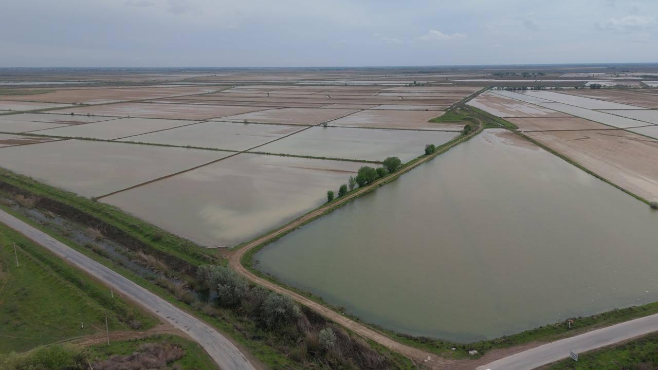 Түркістан облысында сор шаю үшін 400 млн текше метр су берілді