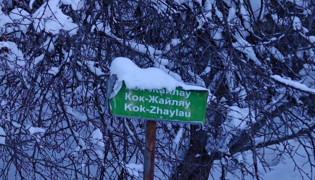 «Көк-Жайлау» курортының құрылысына қызу дайындық басталып кетті: Жоба туралы не белгілі?