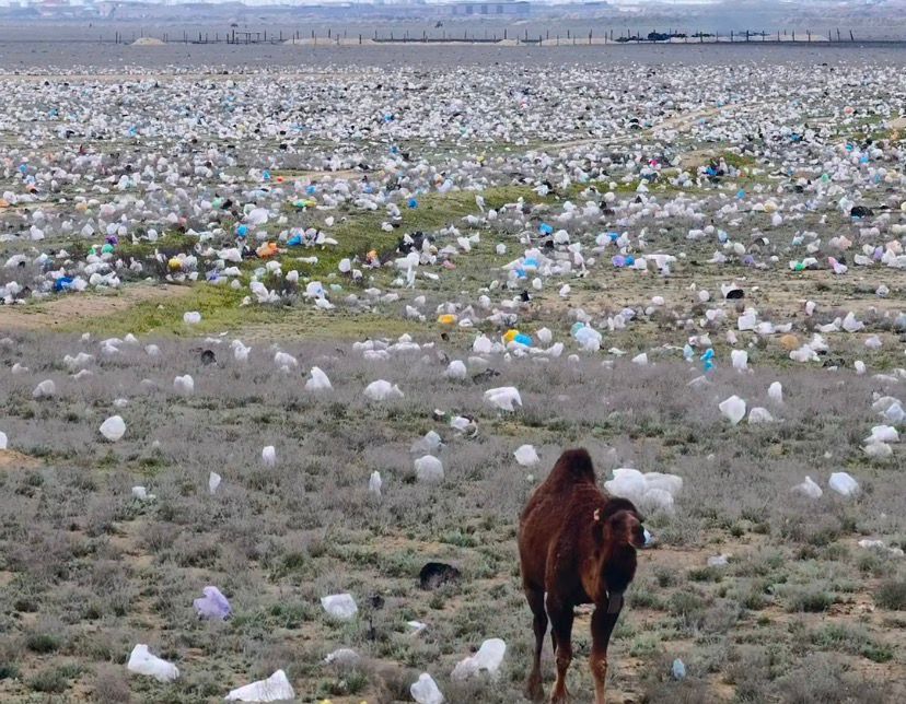 "Бұл рас па?": Маңғыстау табиғатының қоқысқа айналған көрінісі жұртты шошытты