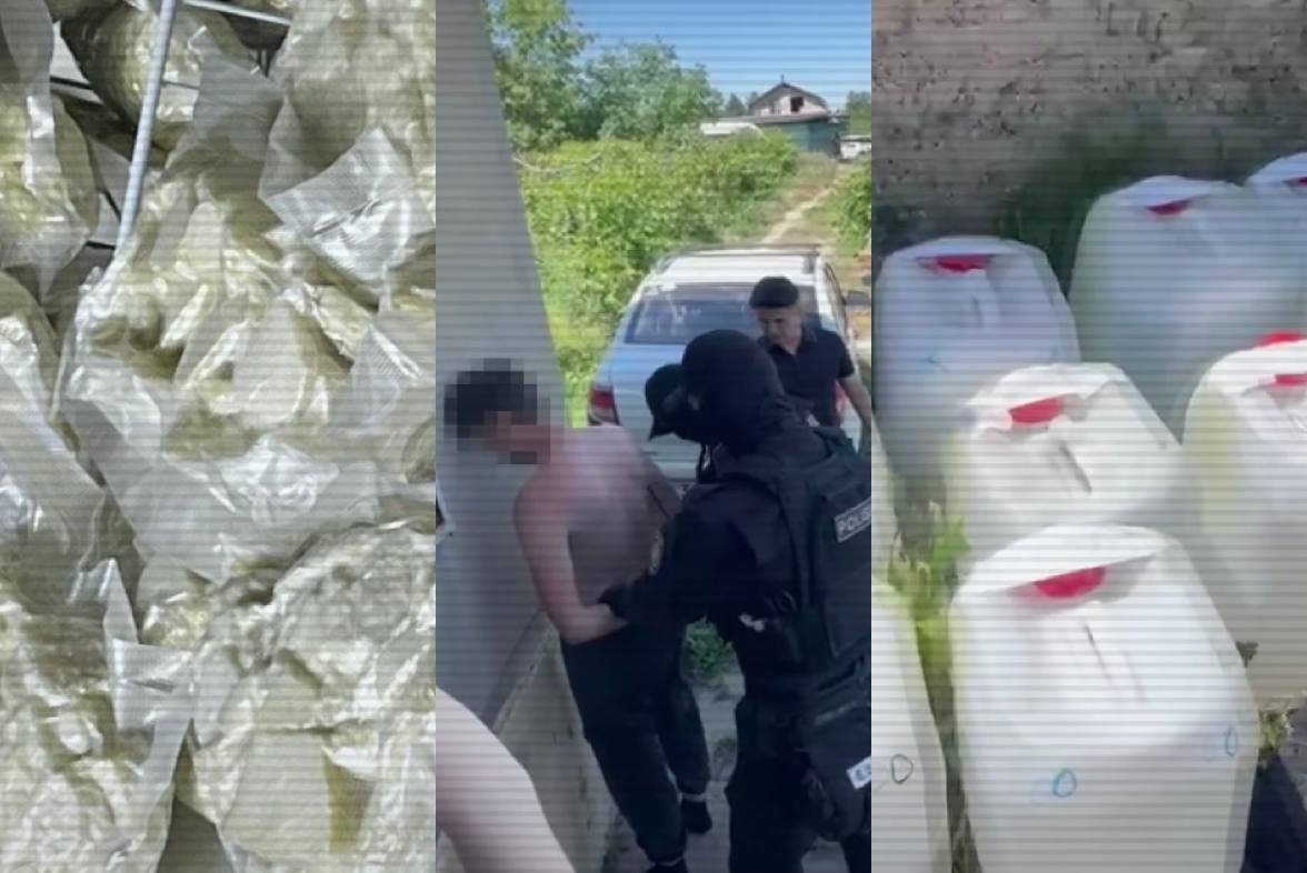 Алматы облысында жасырын есірткі зертханасы жойылды 