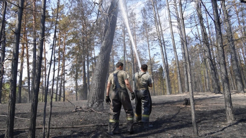 Батыс Қазақстанда орманға кіруге тыйым салынды
