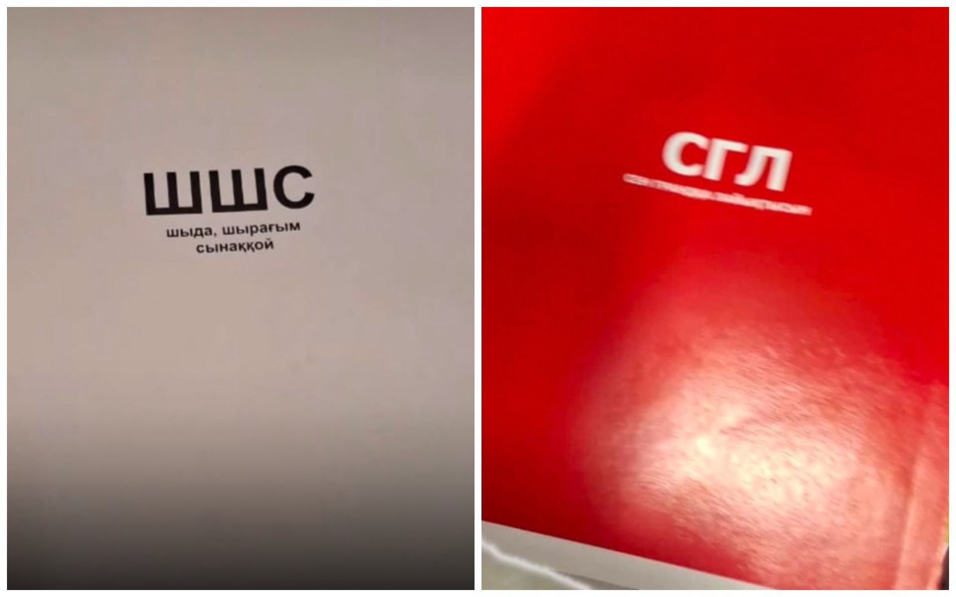 "С..л, ш..с, зб": Дәптер сыртындағы балағат сөздер елдің жағасын ұстатты