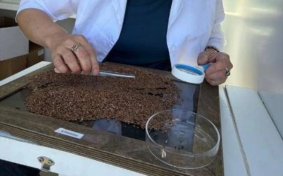 Қазақстанға 113 тоннадан астам залалданған ауыл шаруашылығы өнімі кіргізілмеді