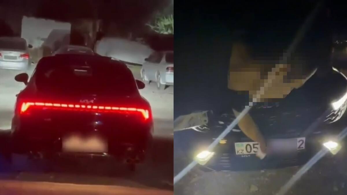 Жамбыл облысында көлік нөмірін әдейі қағазбен жапқан жүргізуші жауапқа тартылды