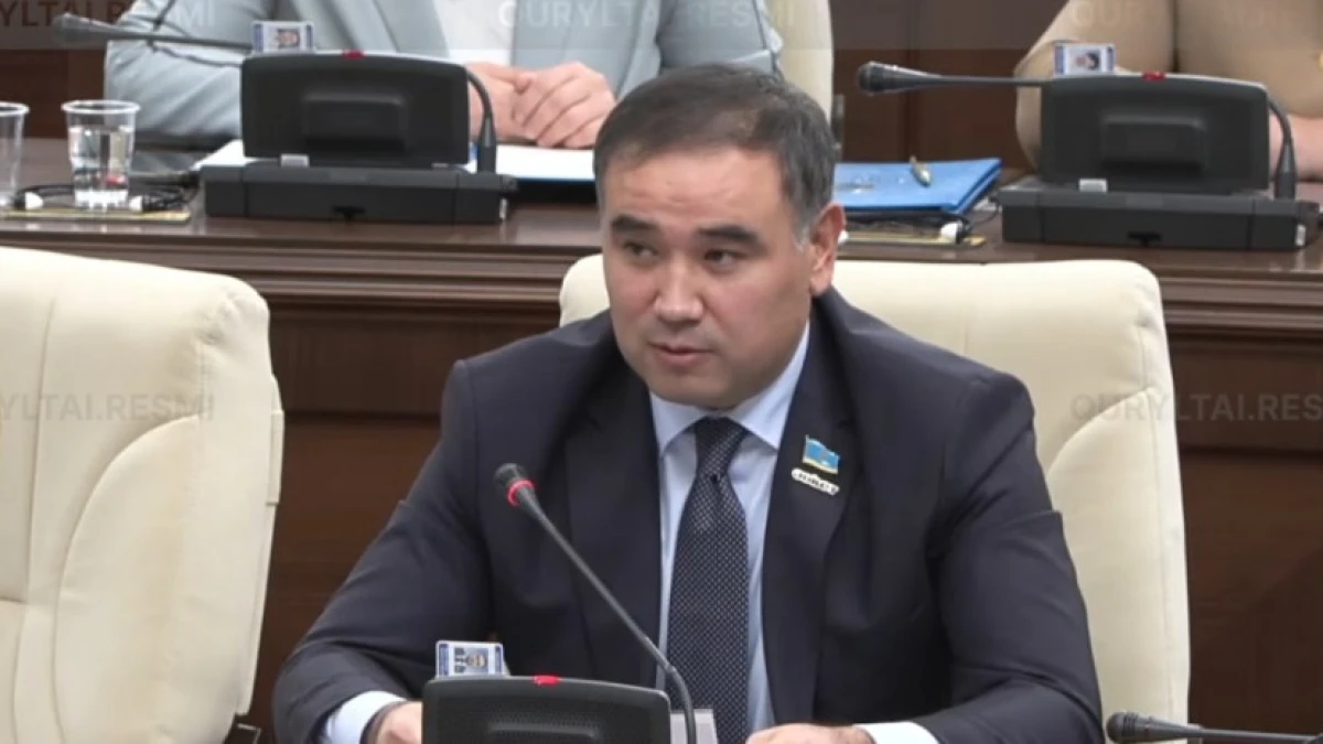 Депутат заңдарды халыққа қарапайым тілмен түсіндіретін бірыңғай орган құруды ұсынды 