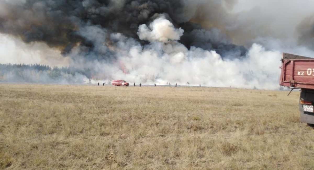 Депутаттар ауыл шаруашылығы нысандарында болды   