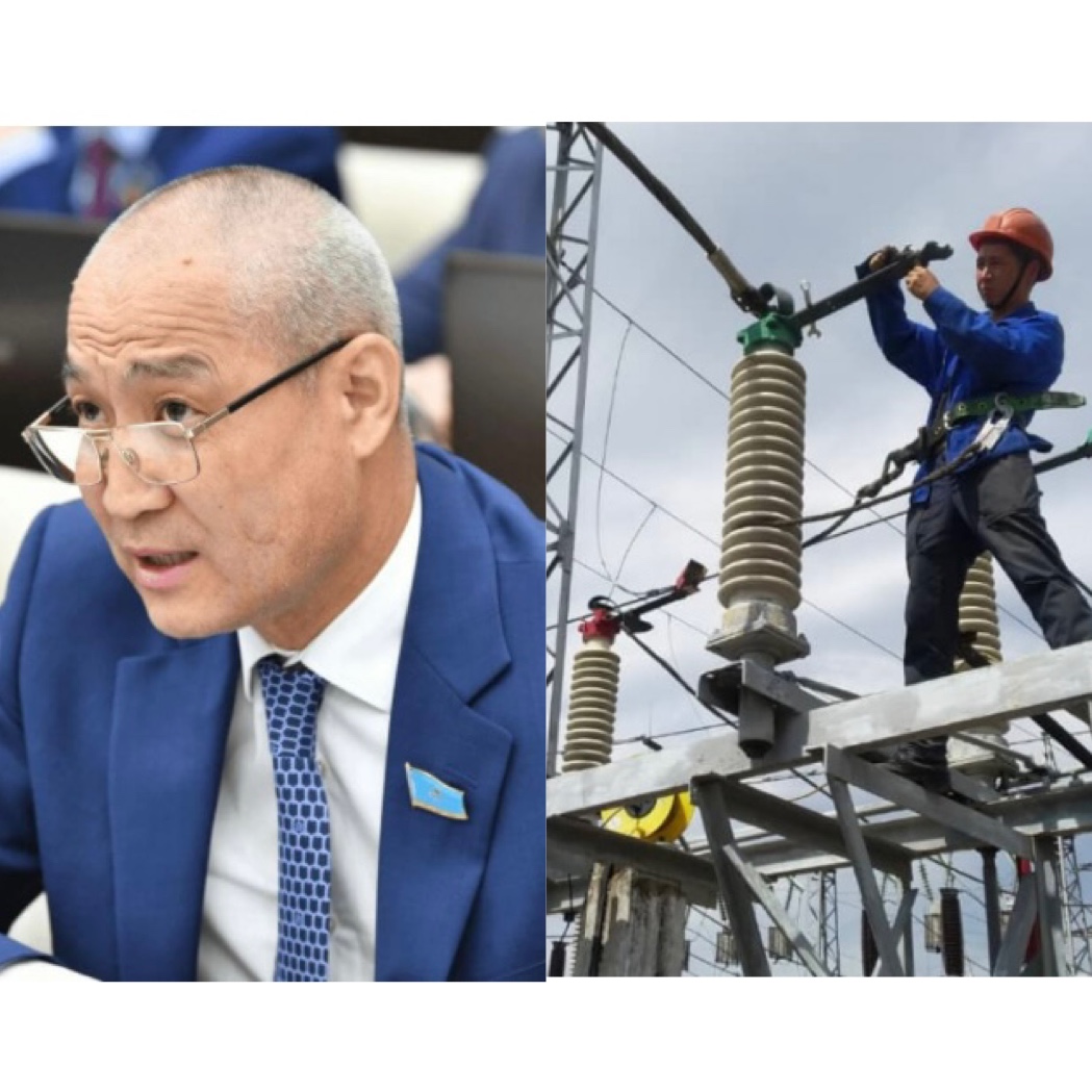 Бізге "никудышный энергетиктер" керек емес – депутат энергетиктер дайындау саласындағы қауіп туралы айтты  
