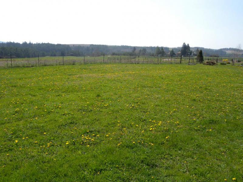 Алматыда құны 7 миллиард теңге болатын жер телімі мемлекетке қайтарылды