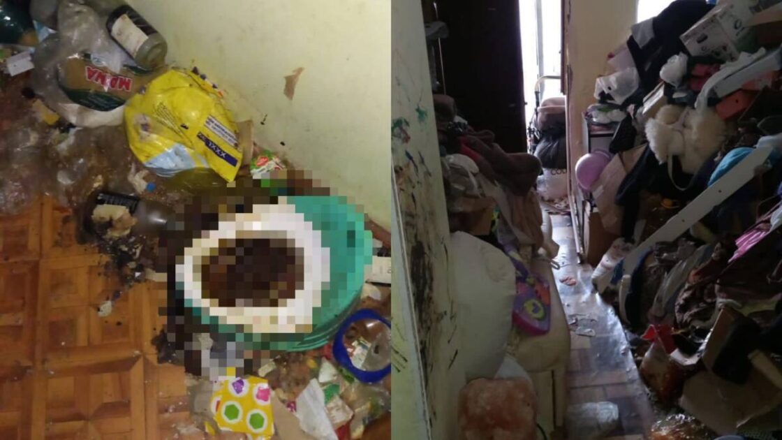 Алматыда пәтерлердің бірінен «Маугли» балалар табылды