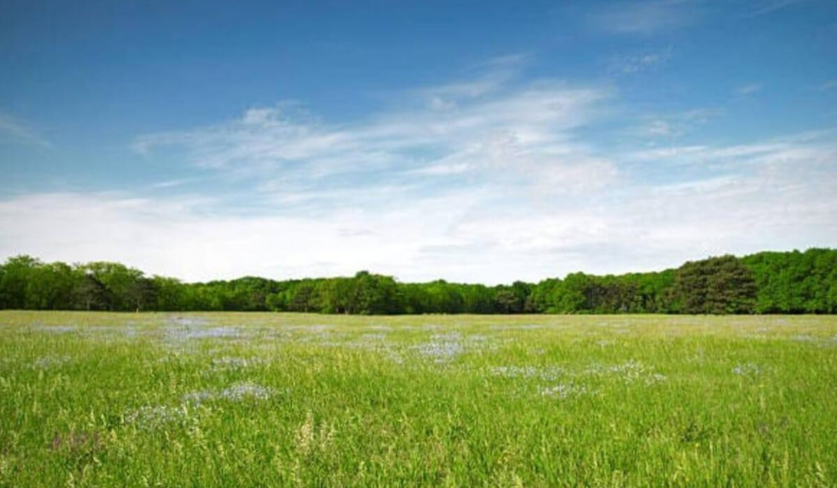 Құны 253 млн теңге болатын жер телімі мемлекетке қайтарылды